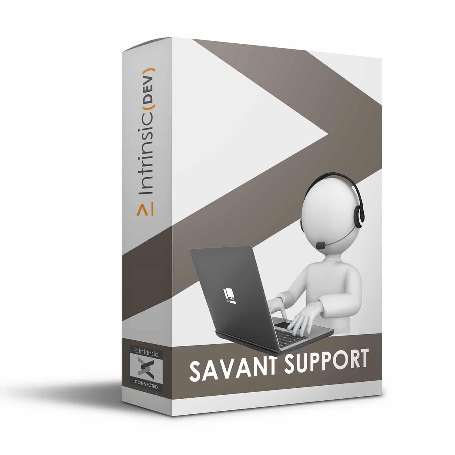 Savant Enhanced Remote Support Session
